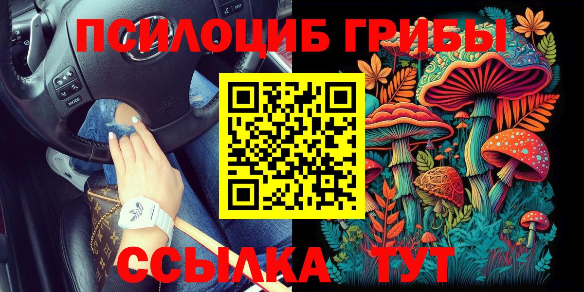 Саянск  купить наркоту  Вход с VPN  Псилоцибиновые грибы GOLDEN TEACHER  Псилоцибиновые грибы GOLDEN TEACHER 